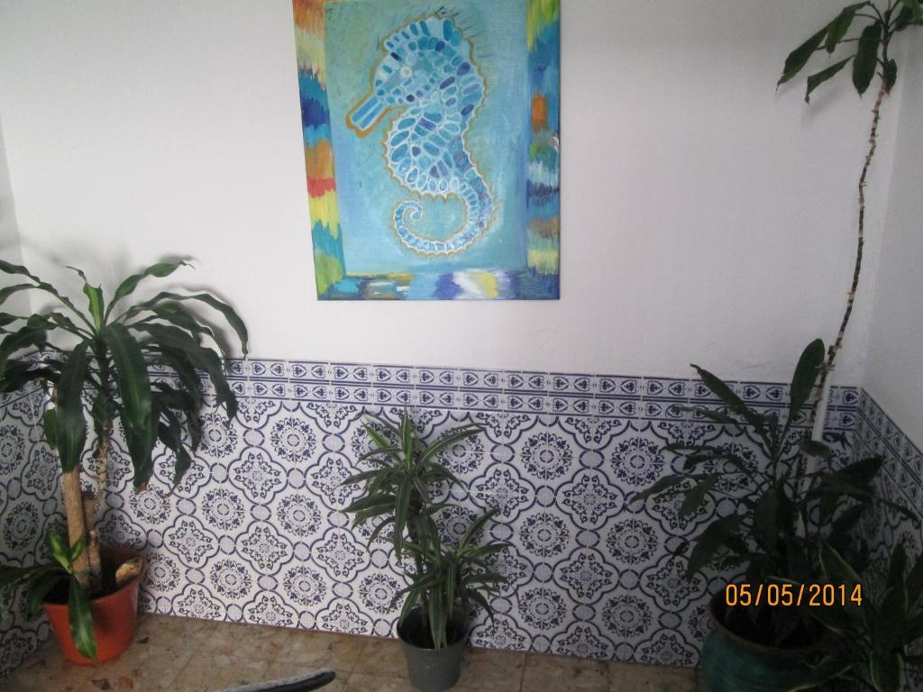Guest House Pacifica Картейра Экстерьер фото